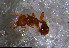  ( - RE21-NG1-HYM-1018)  @11 [ ] CreativeCommons by-nc-sa (2024) Nina Grella University of Bayreuth