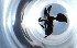  ( - RE21-NG1-HYM-1022)  @11 [ ] CreativeCommons by-nc-sa (2024) Nina Grella University of Bayreuth