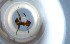  ( - RE21-NG1-HYM-1075)  @11 [ ] CreativeCommons by-nc-sa (2024) Nina Grella University of Bayreuth
