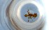  ( - RE21-NG1-HYM-1084)  @11 [ ] CreativeCommons by-nc-sa (2024) Nina Grella University of Bayreuth