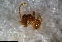  ( - RE21-NG1-HYM-1105)  @11 [ ] CreativeCommons by-nc-sa (2024) Nina Grella University of Bayreuth
