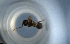  ( - RE21-NG1-HYM-1169)  @11 [ ] CreativeCommons by-nc-sa (2024) Nina Grella University of Bayreuth