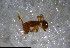  ( - RE21-NG1-HYM-1183)  @11 [ ] CreativeCommons by-nc-sa (2024) Nina Grella University of Bayreuth