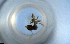  ( - RE21-NG1-HYM-1216)  @11 [ ] CreativeCommons by-nc-sa (2024) Nina Grella University of Bayreuth