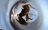 ( - RE21-NG1-HYM-1306)  @11 [ ] CreativeCommons by-nc-sa (2024) Nina Grella University of Bayreuth