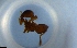  ( - RE21-NG1-HYM-1337)  @11 [ ] CreativeCommons by-nc-sa (2024) Nina Grella University of Bayreuth