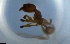  ( - RE21-NG1-HYM-1409)  @11 [ ] CreativeCommons by-nc-sa (2024) Nina Grella University of Bayreuth
