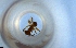  (Pheidole AGB3324 - RE21-NG1-HYM-1445)  @11 [ ] CreativeCommons by-nc-sa (2024) Nina Grella University of Bayreuth