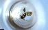  ( - RE21-NG1-HYM-1449)  @11 [ ] CreativeCommons by-nc-sa (2024) Nina Grella University of Bayreuth