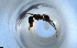  ( - RE21-NG1-HYM-1453)  @11 [ ] CreativeCommons by-nc-sa (2024) Nina Grella University of Bayreuth