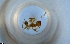  ( - RE21-NG1-HYM-1463)  @11 [ ] CreativeCommons by-nc-sa (2024) Nina Grella University of Bayreuth