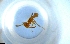 ( - RE21-NG1-HYM-1530)  @11 [ ] CreativeCommons by-nc-sa (2024) Nina Grella University of Bayreuth