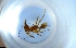  ( - RE21-NG1-HYM-1556)  @11 [ ] CreativeCommons by-nc-sa (2024) Nina Grella University of Bayreuth