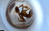  ( - RE21-NG1-HYM-1561)  @11 [ ] CreativeCommons by-nc-sa (2024) Nina Grella University of Bayreuth