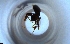 ( - RE21-NG1-HYM-1739)  @11 [ ] CreativeCommons by-nc-sa (2024) Nina Grella University of Bayreuth