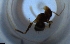  ( - RE21-NG1-HYM-1787)  @11 [ ] CreativeCommons by-nc-sa (2024) Nina Grella University of Bayreuth