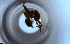  ( - RE21-NG1-HYM-1895)  @11 [ ] CreativeCommons by-nc-sa (2024) Nina Grella University of Bayreuth