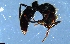  ( - RE21-NG1-HYM-1905)  @11 [ ] CreativeCommons by-nc-sa (2024) Nina Grella University of Bayreuth