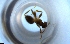  ( - RE21-NG1-HYM-1911)  @11 [ ] CreativeCommons by-nc-sa (2024) Nina Grella University of Bayreuth