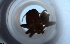  (Azteca AGC2732 - RE21-NG1-HYM-1945)  @11 [ ] CreativeCommons by-nc-sa (2024) Nina Grella University of Bayreuth
