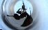  ( - RE21-NG1-HYM-2041)  @11 [ ] CreativeCommons by-nc-sa (2024) Nina Grella University of Bayreuth