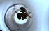  ( - RE21-NG1-HYM-2048)  @11 [ ] CreativeCommons by-nc-sa (2024) Nina Grella University of Bayreuth