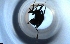  ( - RE21-NG1-HYM-2104)  @11 [ ] CreativeCommons by-nc-sa (2024) Nina Grella University of Bayreuth