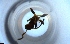  ( - RE21-NG1-HYM-2223)  @11 [ ] CreativeCommons by-nc-sa (2024) Nina Grella University of Bayreuth