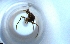  ( - RE21-NG1-HYM-2241)  @11 [ ] CreativeCommons by-nc-sa (2024) Nina Grella University of Bayreuth