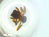  ( - RE21-NG1-HYM-2303)  @11 [ ] CreativeCommons by-nc-sa (2024) Nina Grella University of Bayreuth