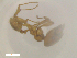  ( - RE21-NG1-HYM-2373)  @11 [ ] CreativeCommons by-nc-sa (2024) Nina Grella University of Bayreuth
