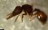  ( - RE21-NG1-HYM-2528)  @11 [ ] CreativeCommons by-nc-sa (2024) Nina Grella University of Bayreuth