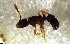  ( - RE21-NG1-HYM-2543)  @11 [ ] CreativeCommons by-nc-sa (2024) Nina Grella University of Bayreuth