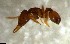  ( - RE21-NG1-HYM-2552)  @11 [ ] CreativeCommons by-nc-sa (2024) Nina Grella University of Bayreuth