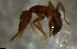  ( - RE21-NG1-HYM-2565)  @11 [ ] CreativeCommons by-nc-sa (2024) Nina Grella University of Bayreuth
