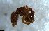  ( - RE21-NG1-HYM-2655)  @11 [ ] CreativeCommons by-nc-sa (2024) Nina Grella University of Bayreuth