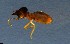  ( - RE21-NG-ISO-0209)  @11 [ ] CreativeCommons by-nc-sa (2024) Nina Grella University of Bayreuth