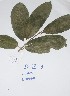  ( - DZ001)  @11 [ ] Unspecified (default): All Rights Reserved  Unspecified Unspecified