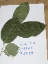  ( - DZ112)  @11 [ ] Unspecified (default): All Rights Reserved  Unspecified Unspecified