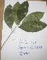  ( - DZ113)  @11 [ ] Unspecified (default): All Rights Reserved  Unspecified Unspecified