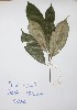  ( - DZ147)  @11 [ ] Unspecified (default): All Rights Reserved  Unspecified Unspecified