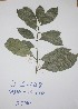  ( - DZ148)  @11 [ ] Unspecified (default): All Rights Reserved  Unspecified Unspecified