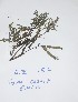  ( - DZ157)  @11 [ ] Unspecified (default): All Rights Reserved  Unspecified Unspecified