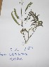  ( - DZ159)  @11 [ ] Unspecified (default): All Rights Reserved  Unspecified Unspecified