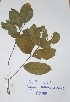  ( - DZ163)  @11 [ ] Unspecified (default): All Rights Reserved  Unspecified Unspecified
