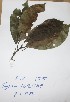  ( - DZ175)  @11 [ ] Unspecified (default): All Rights Reserved  Unspecified Unspecified
