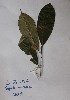  ( - DZ176)  @11 [ ] Unspecified (default): All Rights Reserved  Unspecified Unspecified