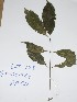  ( - DZ198)  @11 [ ] Unspecified (default): All Rights Reserved  Unspecified Unspecified