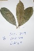  ( - DZ213)  @11 [ ] Unspecified (default): All Rights Reserved  Unspecified Unspecified