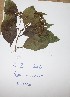  ( - DZ220)  @11 [ ] Unspecified (default): All Rights Reserved  Unspecified Unspecified